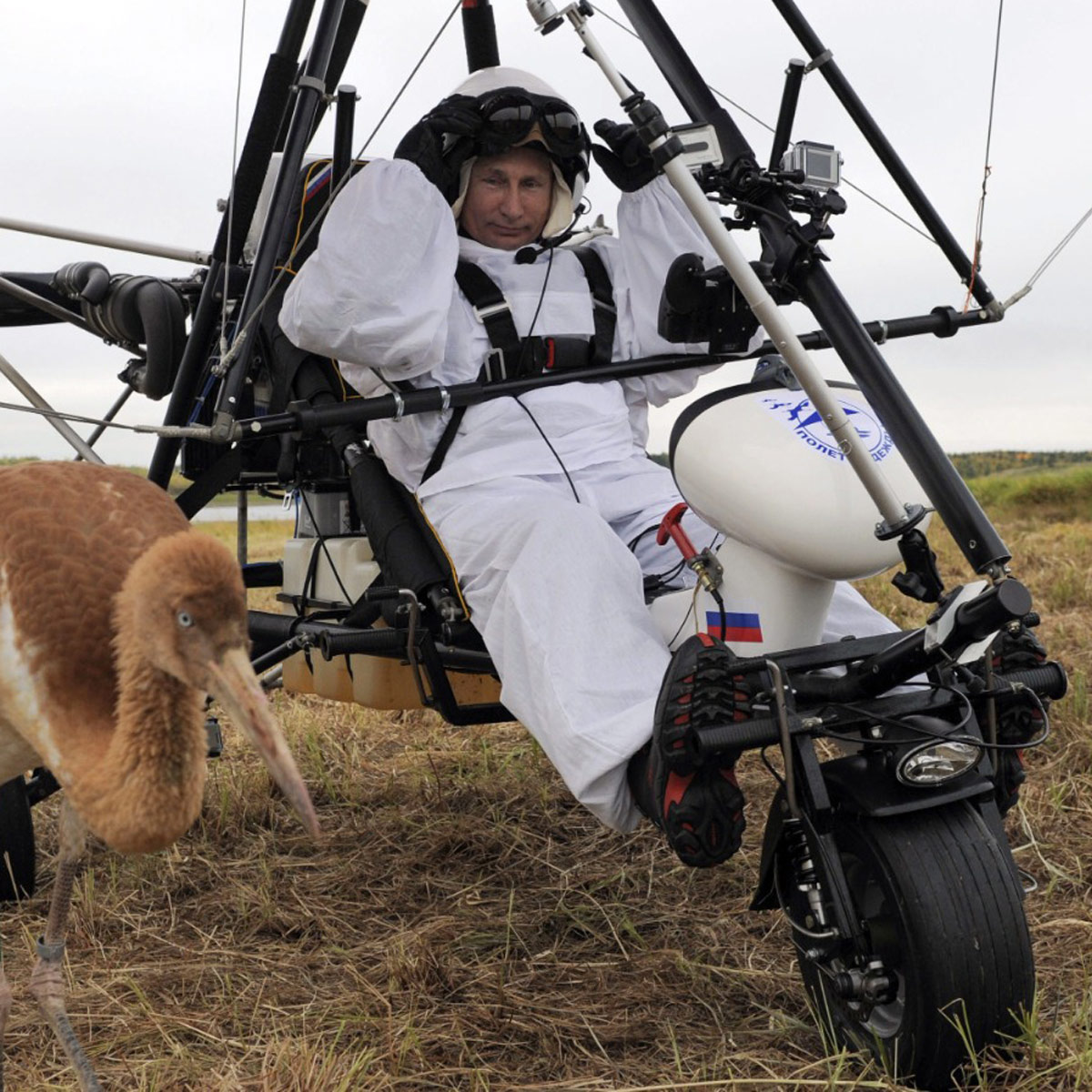 russia ukraine crisis