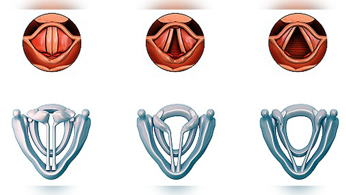 Science behind Singing