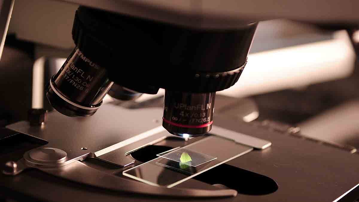 Scientists vs Spiritual Gurus