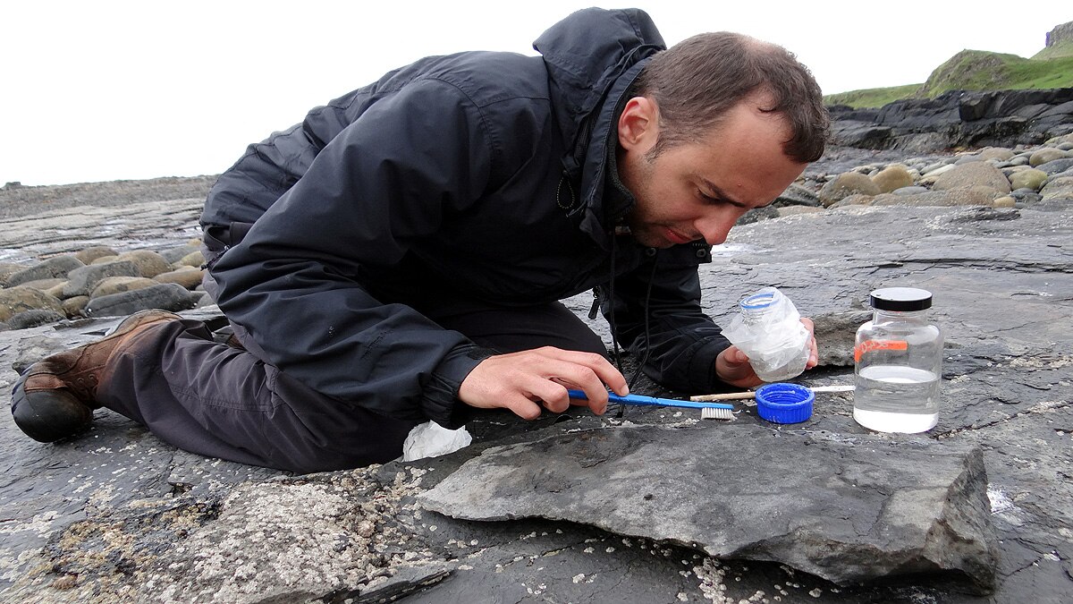 flying reptile Scotland