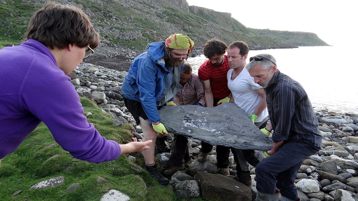 flying reptile Scotland