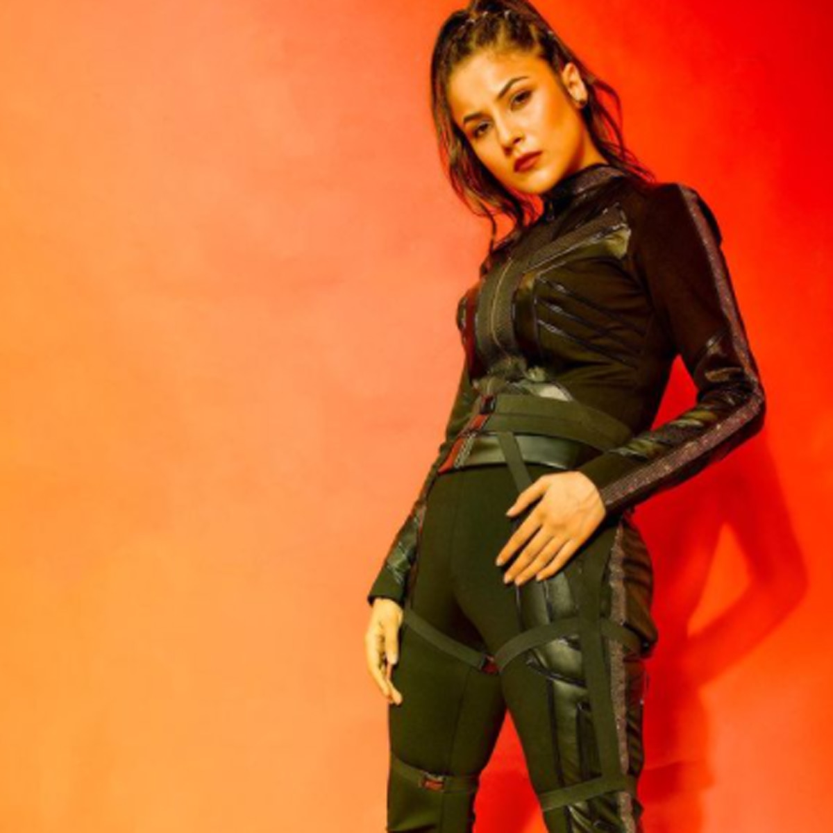 शहनाज गिल