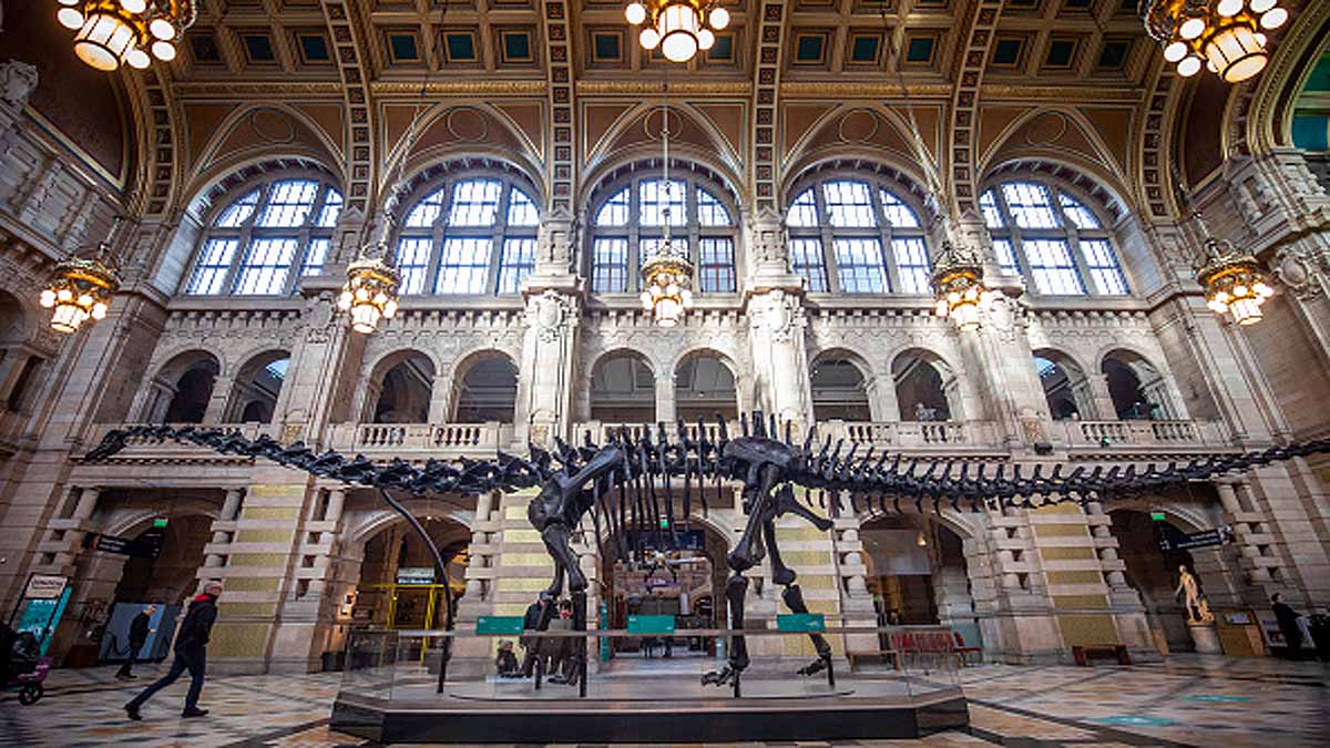 Dinosaur Cold Sneezing