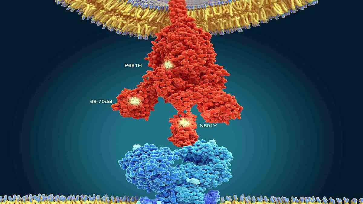 other virus variants