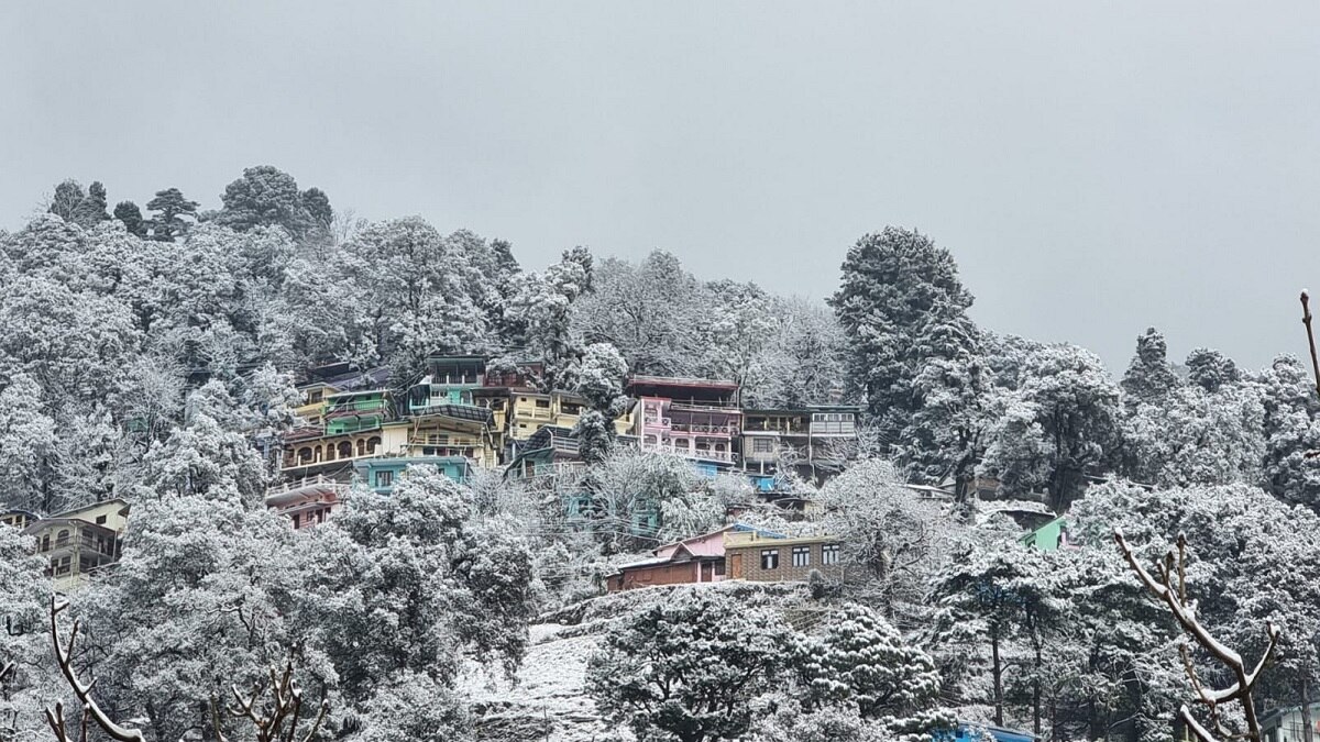 Uttarakhand Snowfall Update