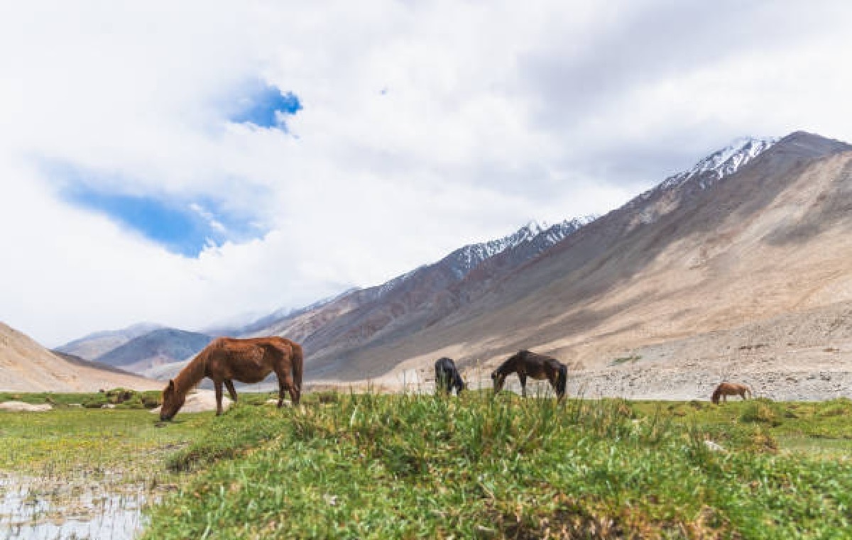 अप्रैल में इन जगहों पर बिताएं छुट्टियां
