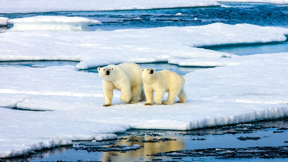 Most Powerful Atomic Explosion