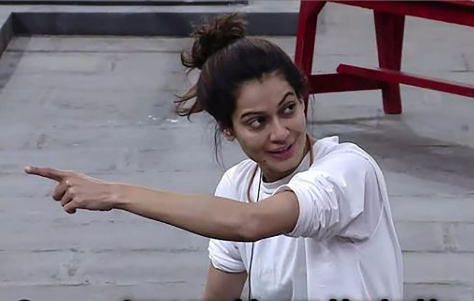 पायल रोहतगी