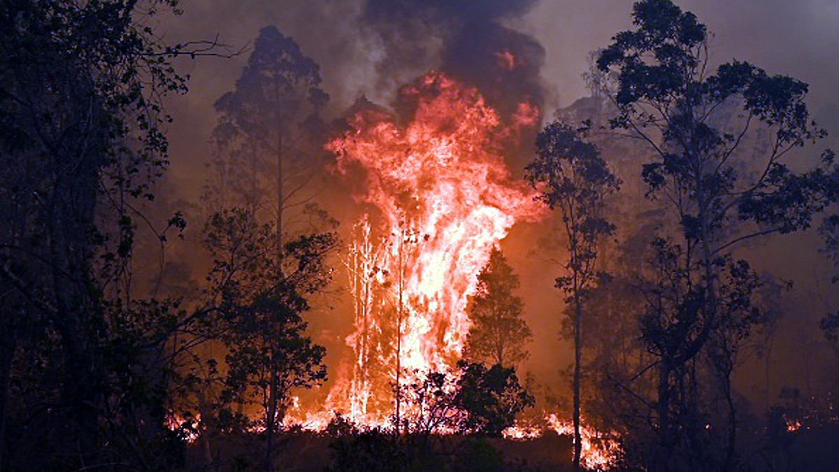 Australia Wild Fire Ozone Layer