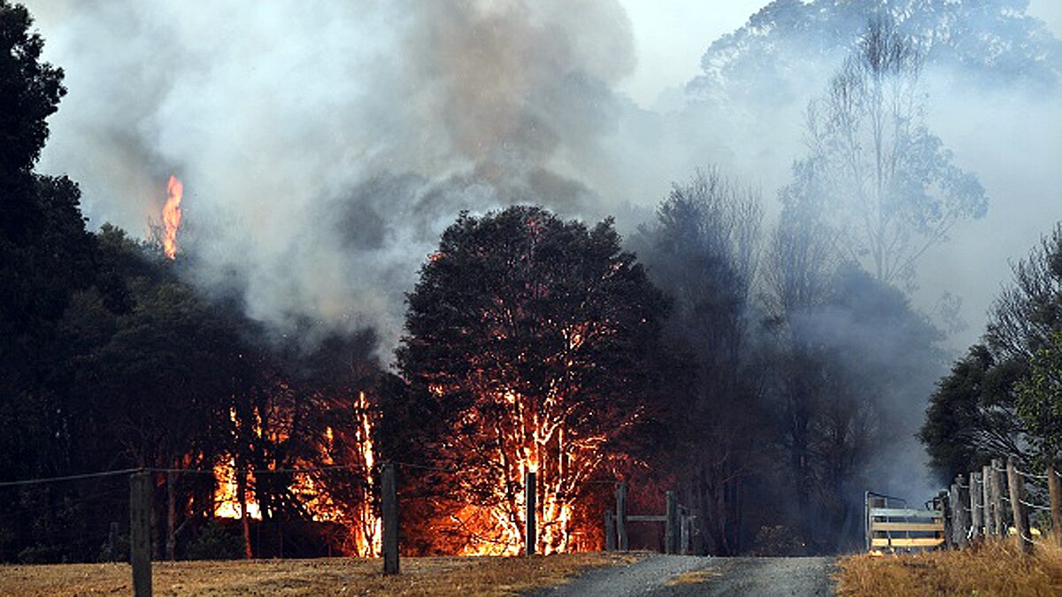 Australia Wild Fire Ozone Layer