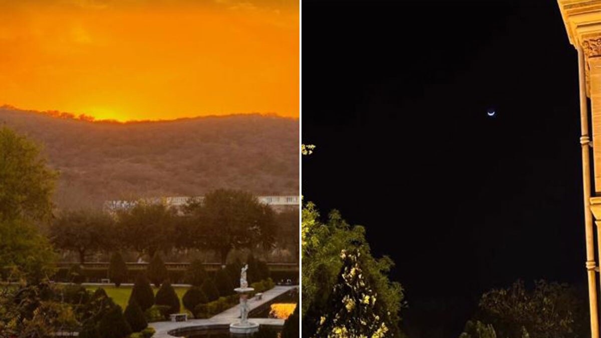 सारा अली खान 