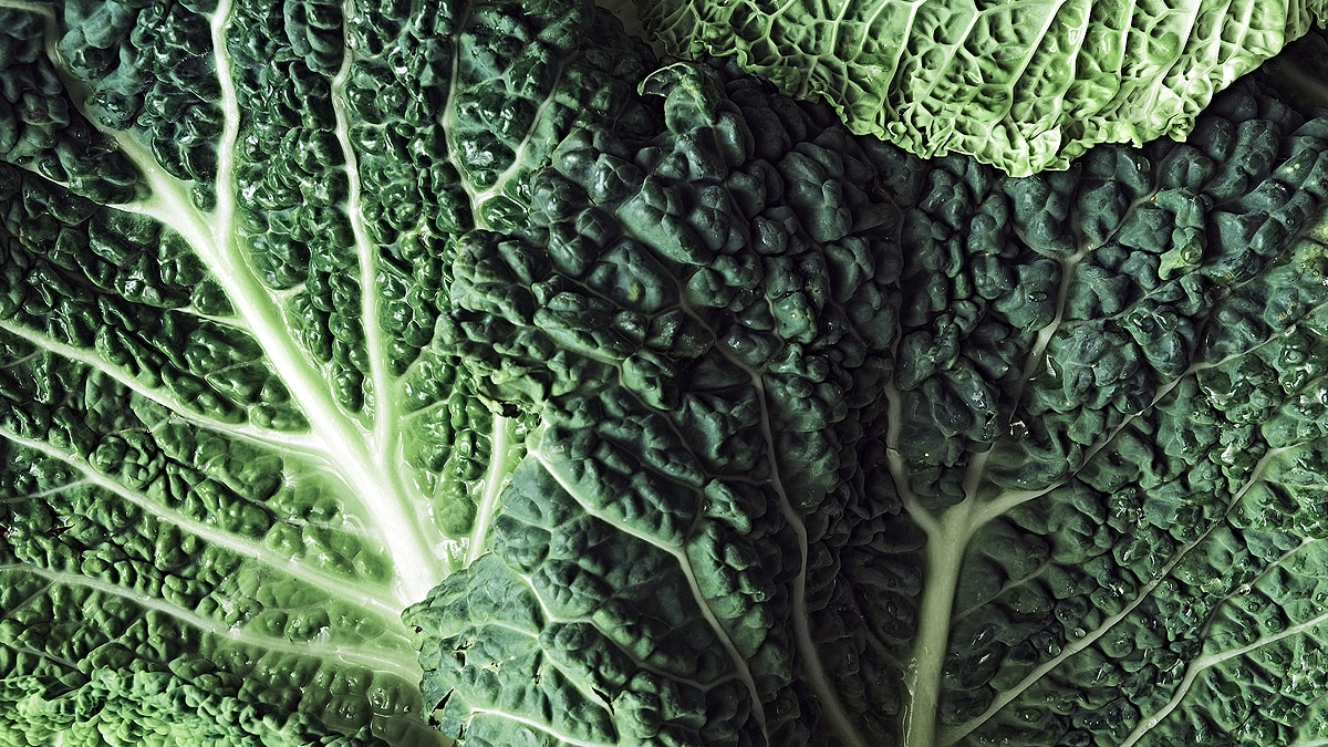 Cruciferous Vegetables Covid 19 