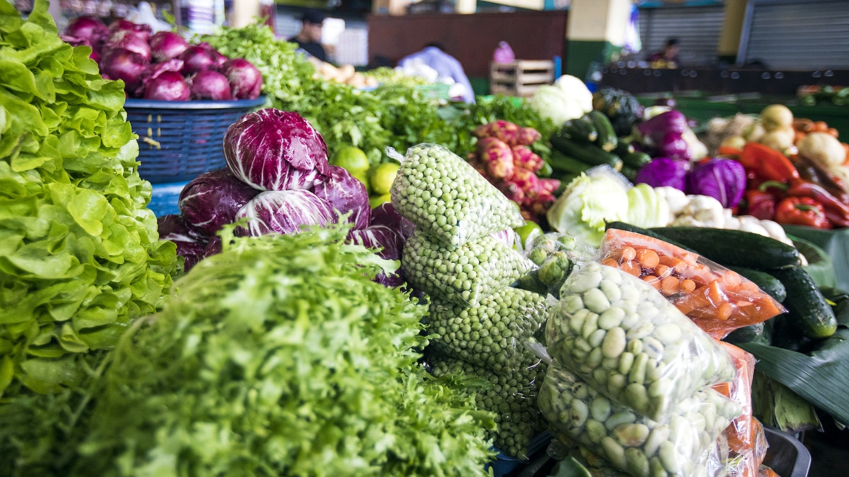 Cruciferous Vegetables Covid 19 