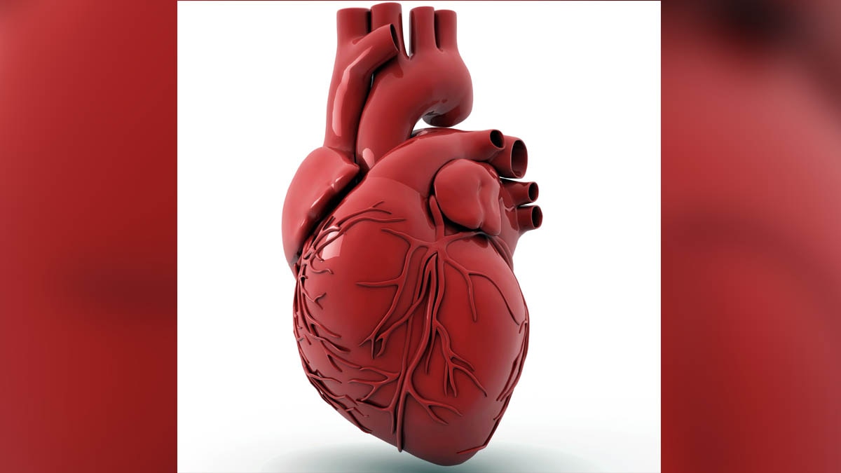 World's First Combination Transplant