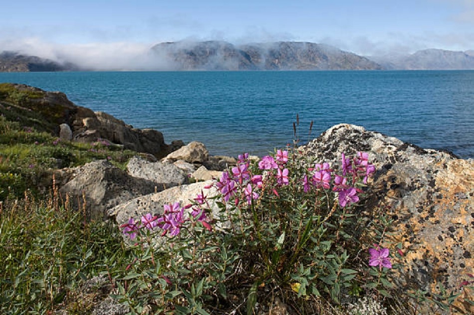धरती के नीचे और ज्वालामुखी के ऊपर बनी बस्तियां