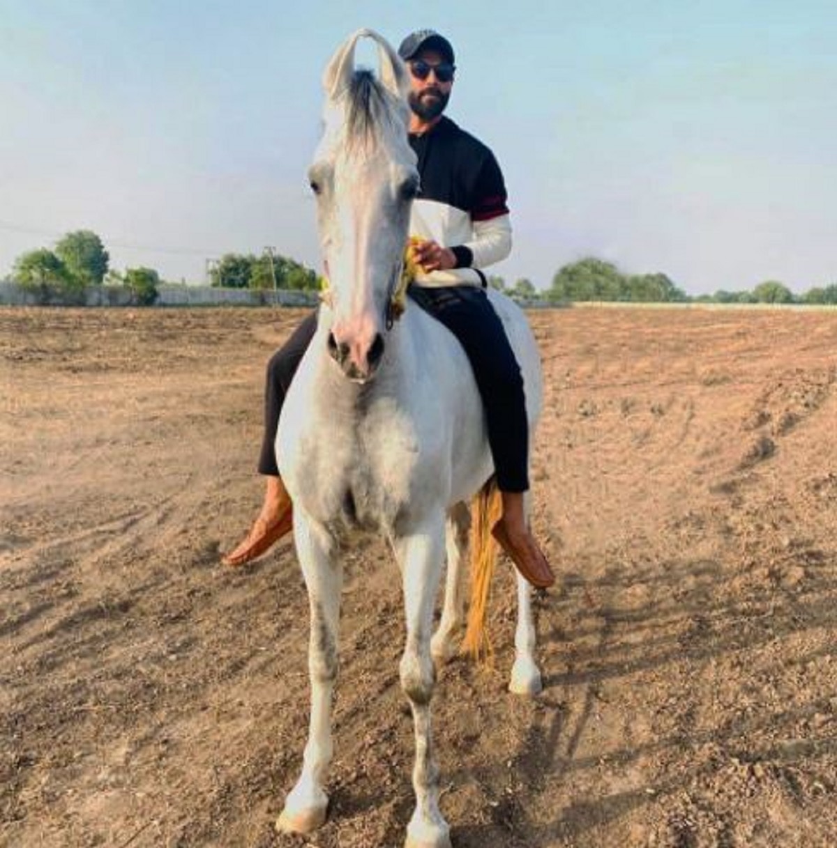 Ravindra Jadeja (instagram/ravindra.jadeja)