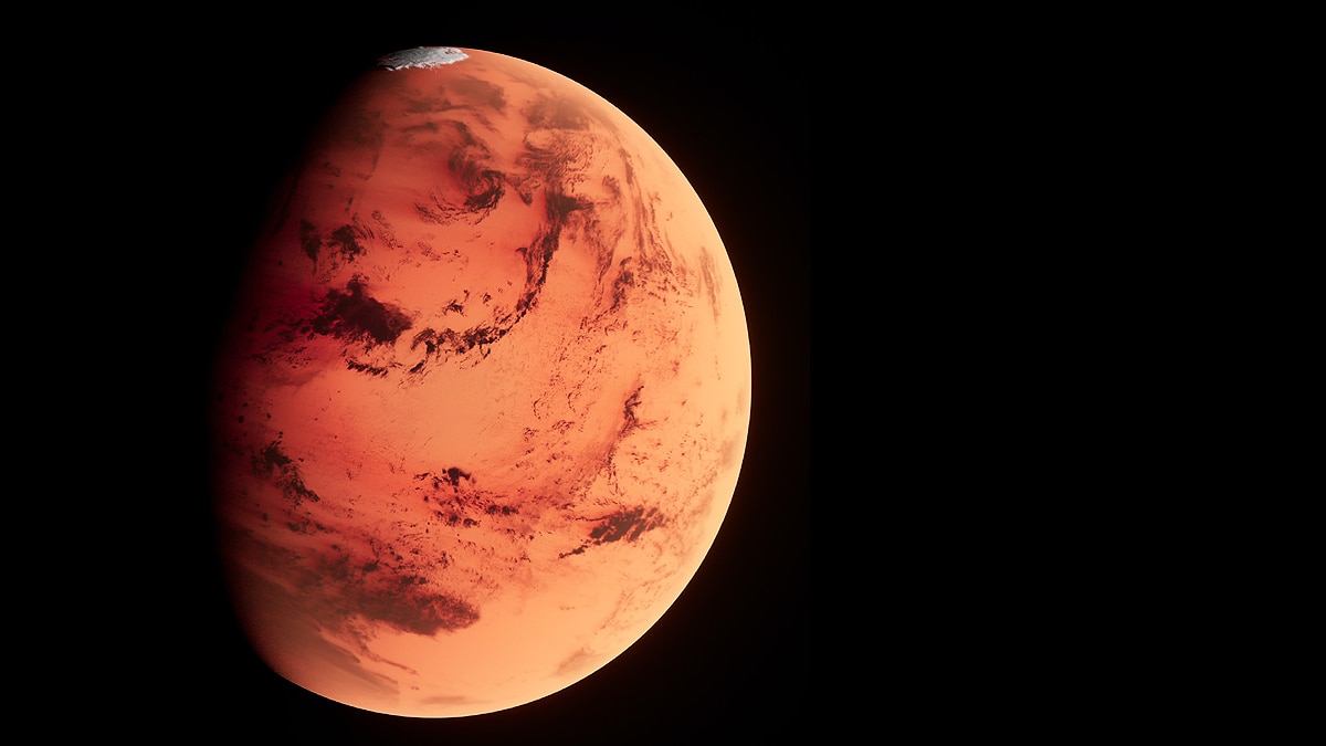 Elon Musk SpaceX Starship