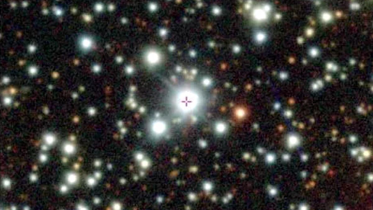 Earth closest black hole vampire star