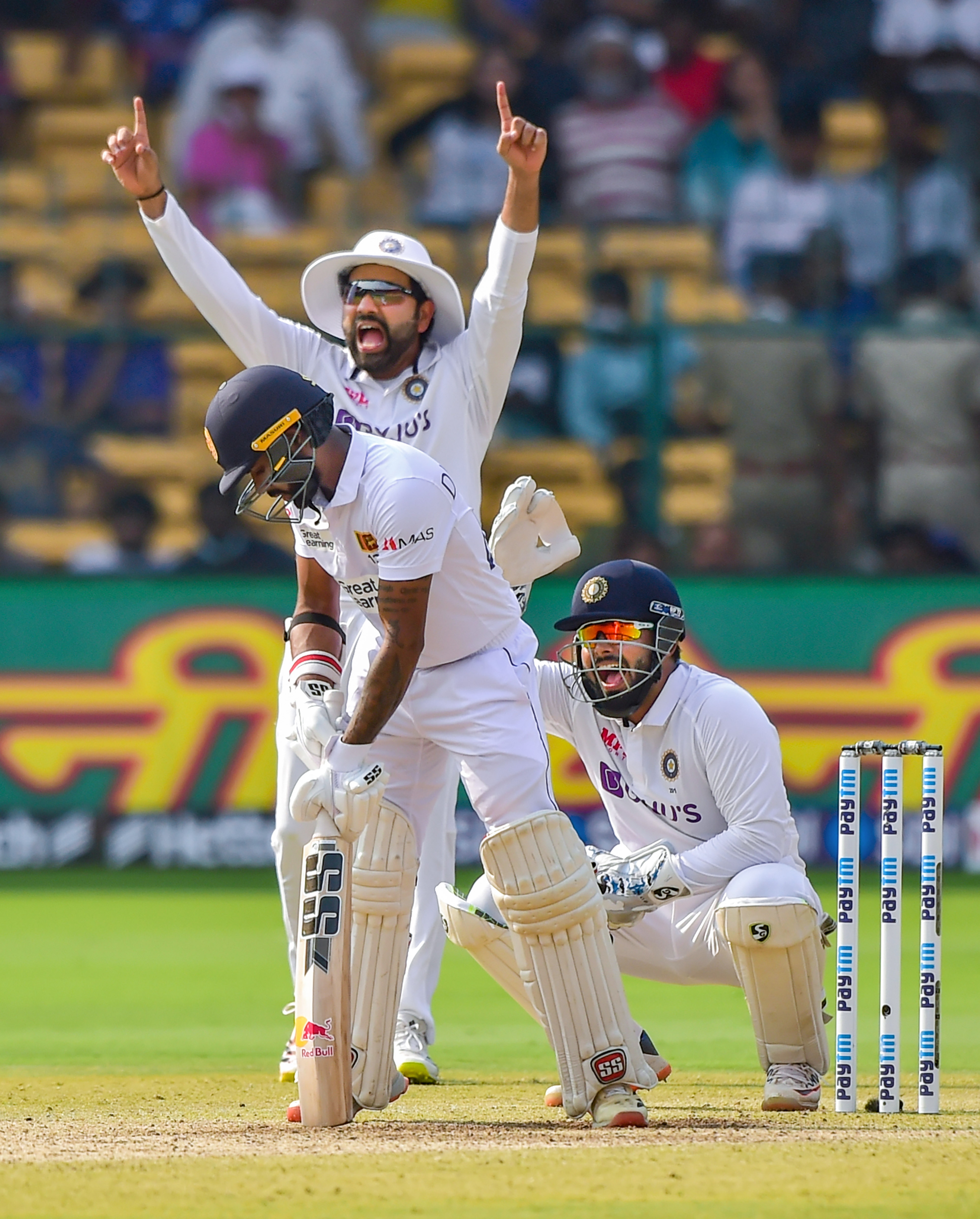 Rohit Sharma Rishabh Pant