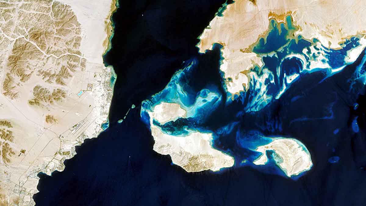 500 year old landslide