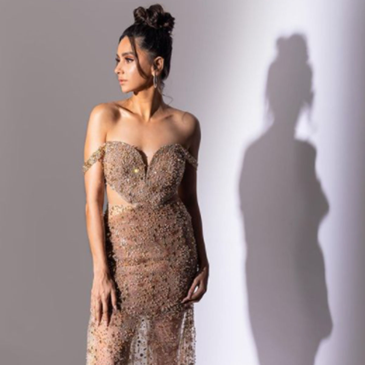 शिबानी दांडेकर