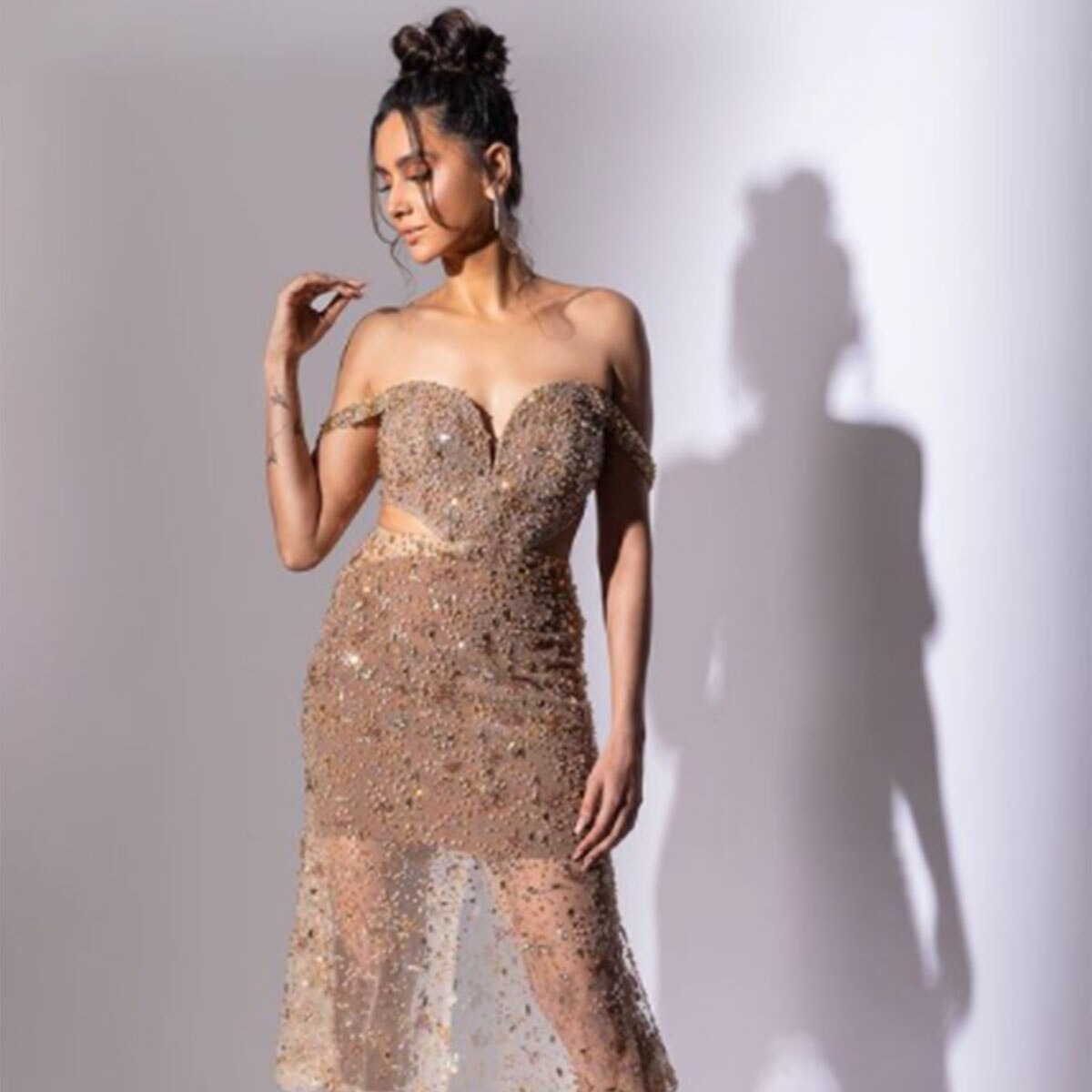 शिबानी दांडेकर