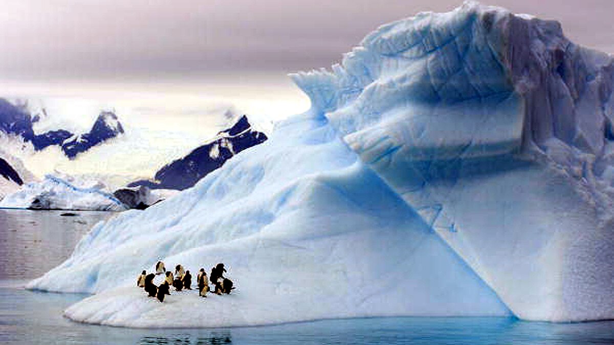 Solid aerosols in arctic atmosphere 