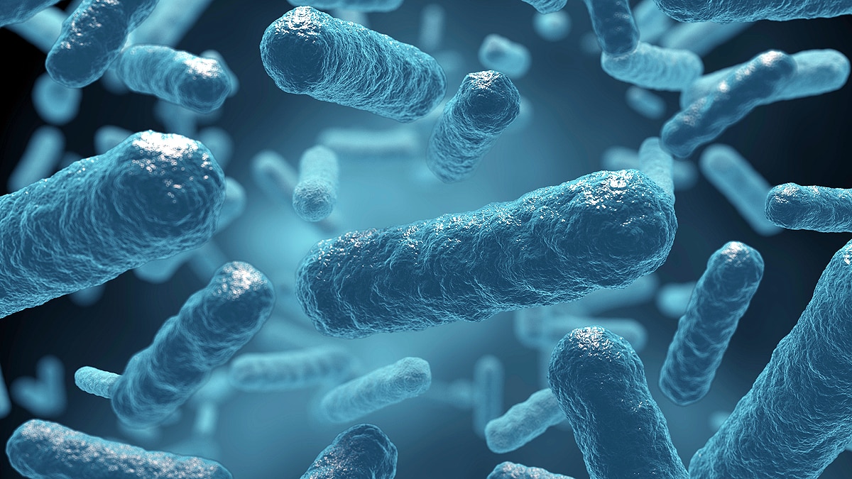 Sound Controlled Bacteria