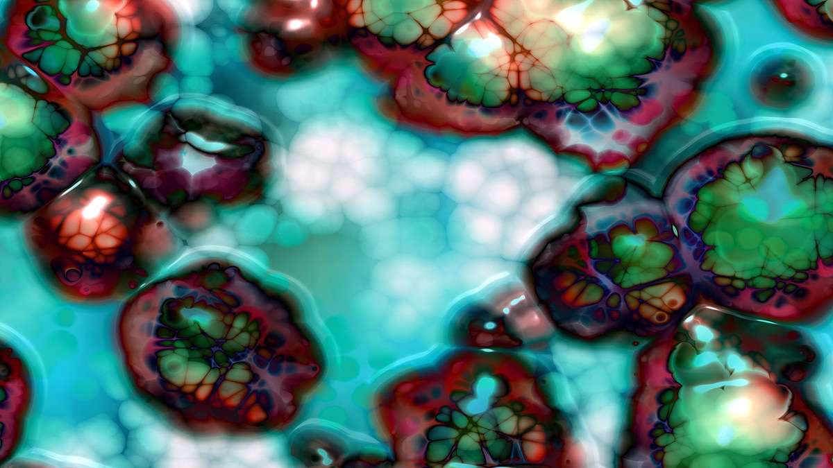 Sound Controlled Bacteria