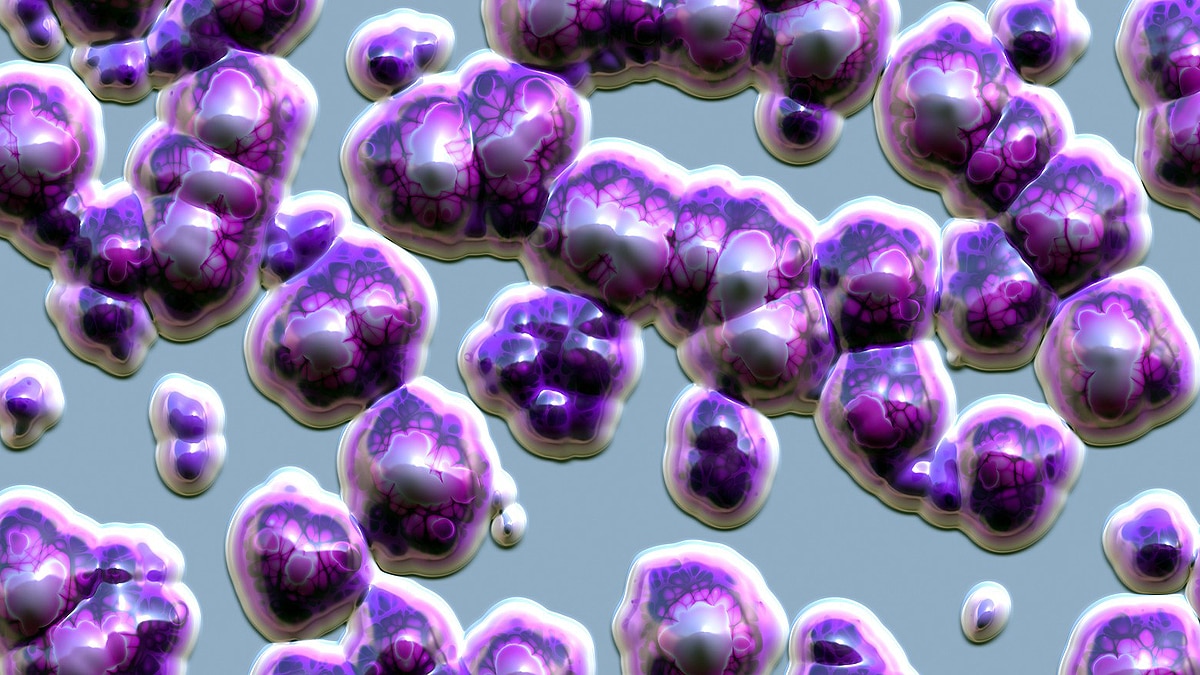 Sound Controlled Bacteria