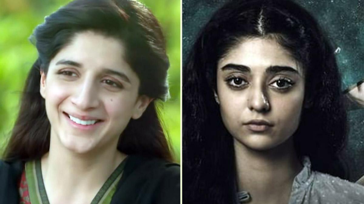 जब पाकिस्तानी शोज में हुईं हदें पार, हीरोइन को एजेंडा बनाकर लूटी TRP, स्टोरीलाइन सुन होंगे दंग