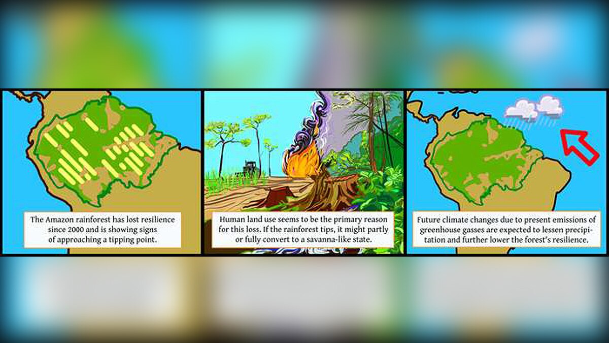 Amazon Rainforest Fire 