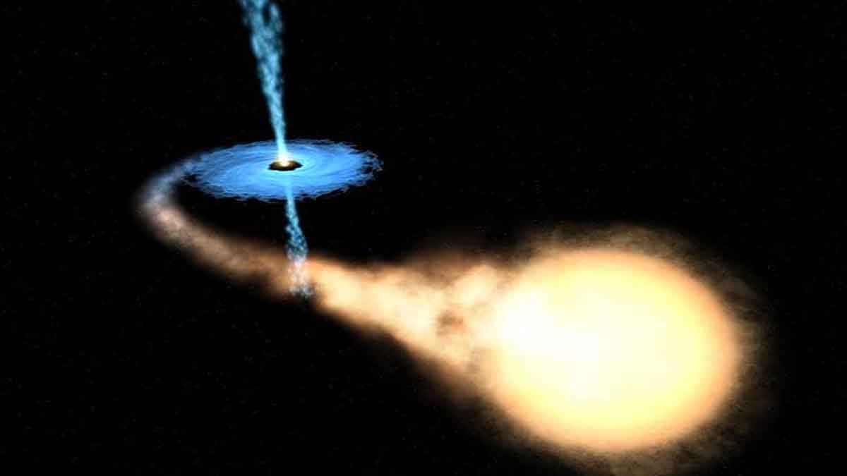 Earth closest black hole vampire star