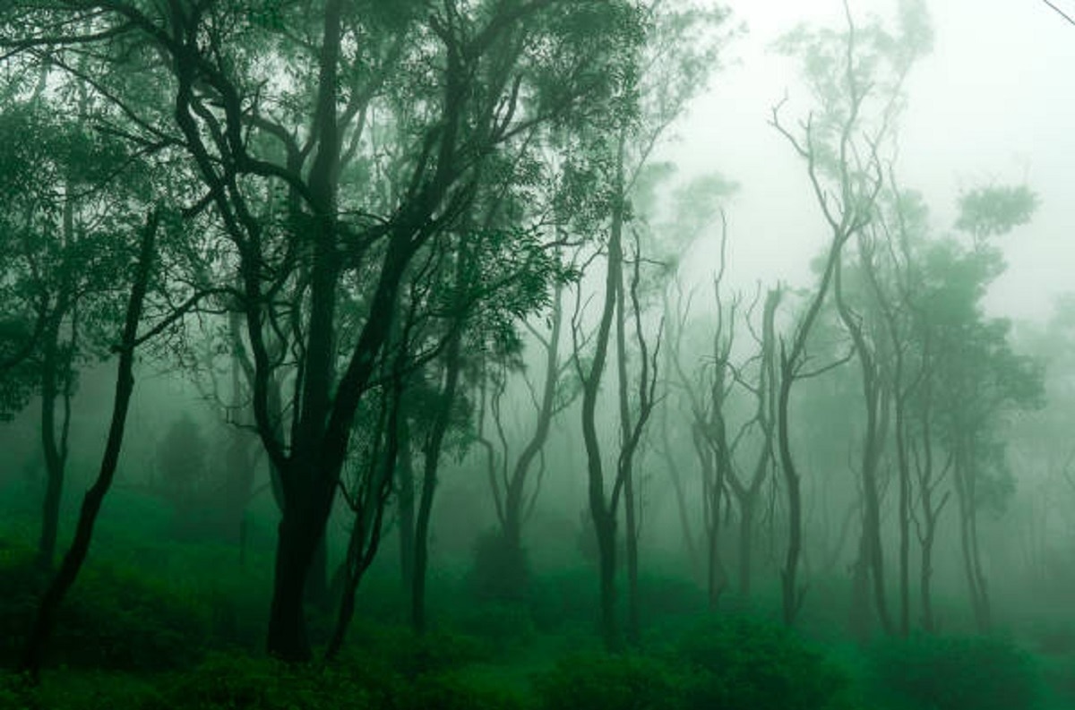 मार्च में होली पर लॉन्ग वीकेंड