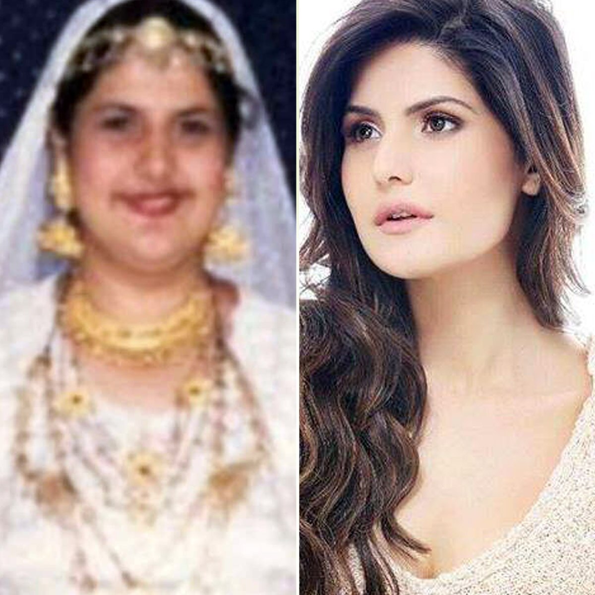 जरीन खान