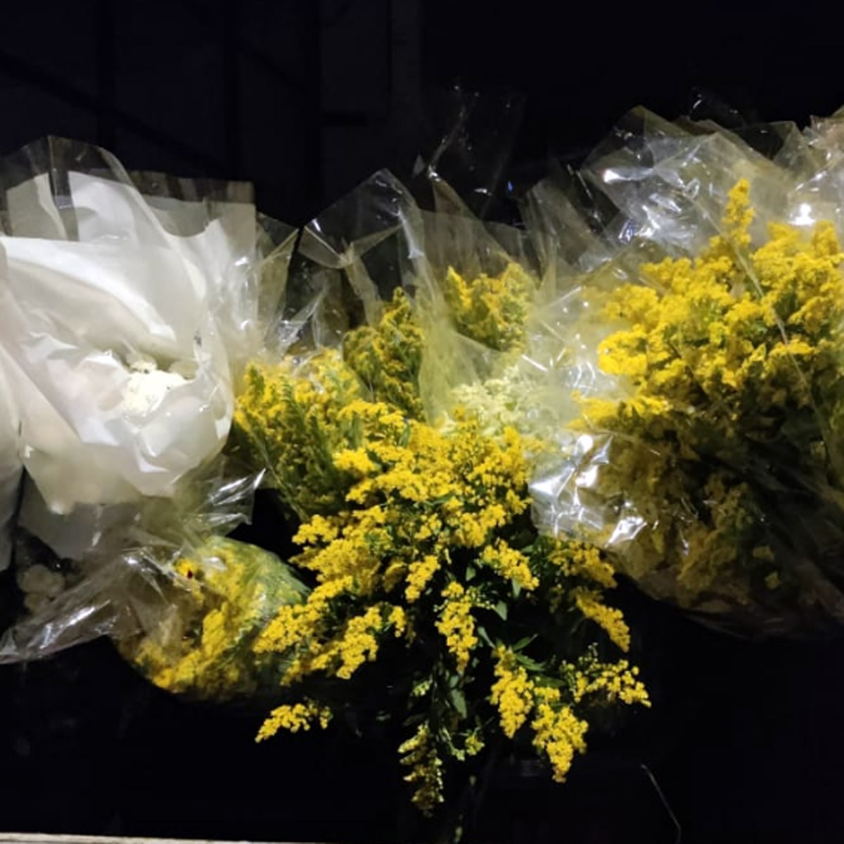 रणबीर की शादी में यूज होने वाले ट्रक