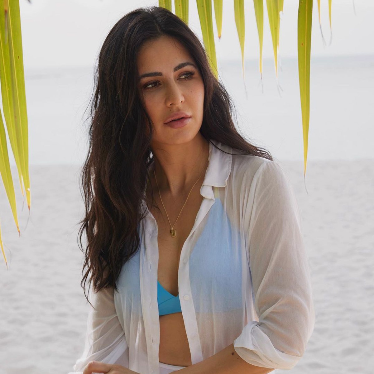 कटरीना कैफ