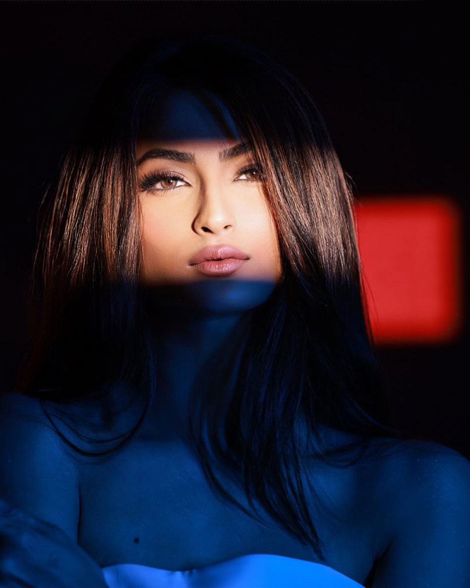 पलक तिवारी