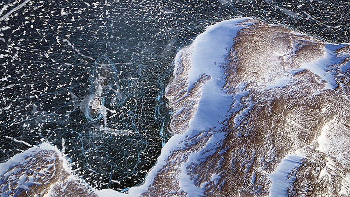 5500 new RNA viruses