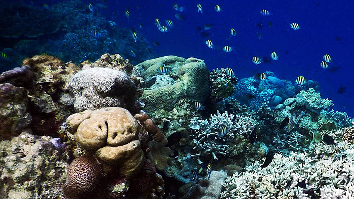 5500 new RNA viruses