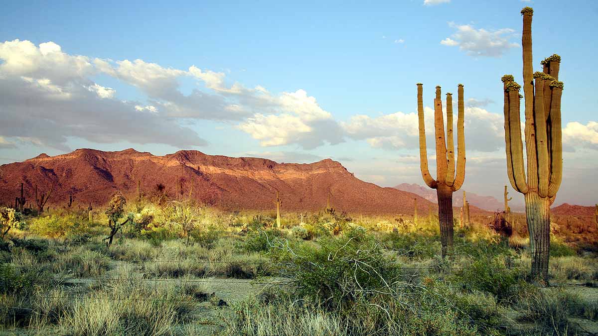 Hottest Place in World