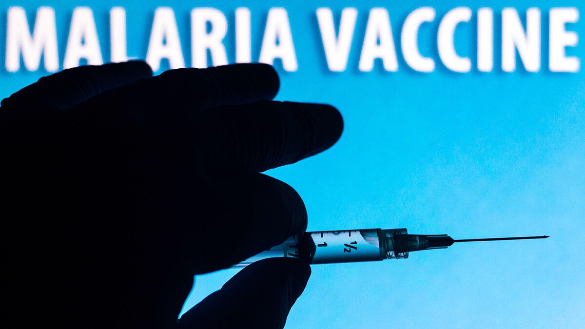 How malaria came to infect humans?