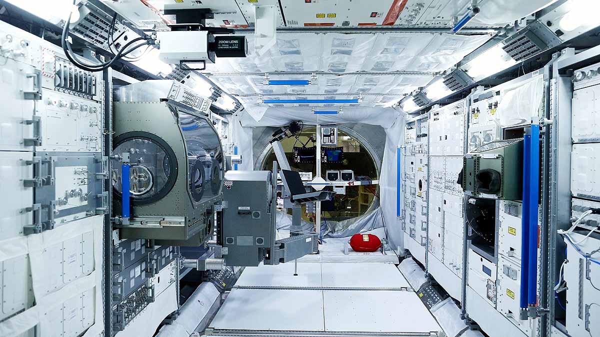 Kidney Stones in Astronauts