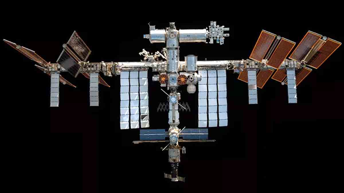 Kidney Stones in Astronauts