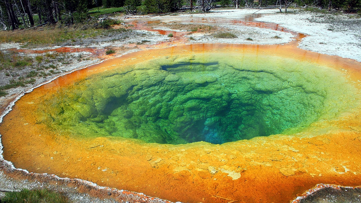 Bizarre whirlpool glory hole