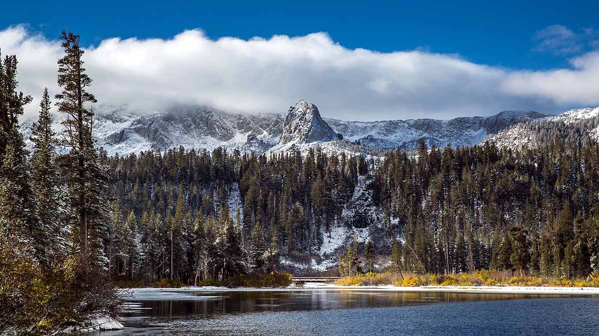 Earthquake alters forest CO2
