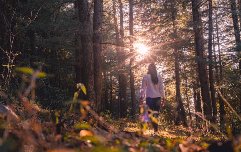 5000 में लॉन्ग वीकेंड का मजा