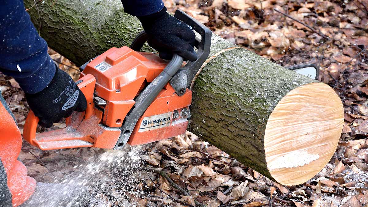 Chainsaws Invented For Childbirth