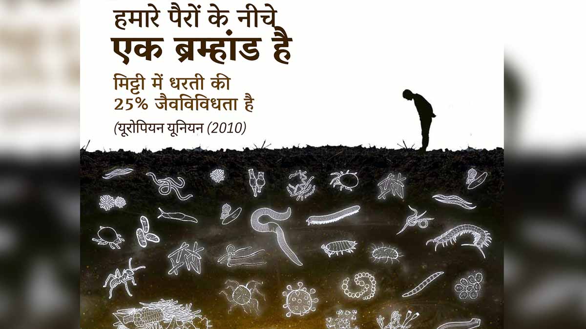 Dangerous Facts on Soil