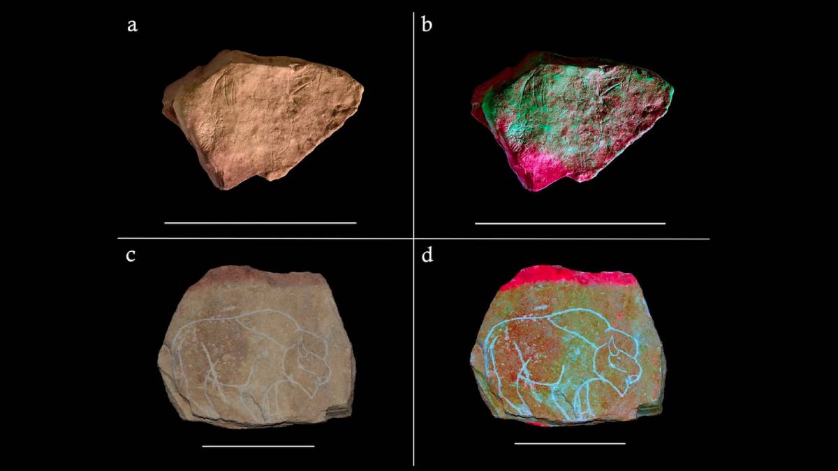 world's first animation